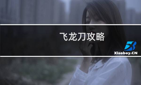 飞龙刀攻略
