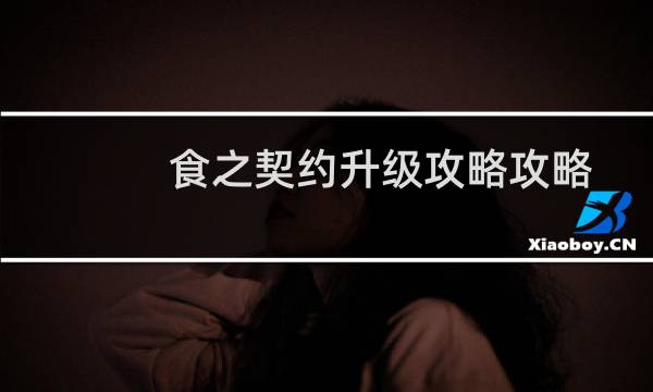 食之契约升级攻略攻略