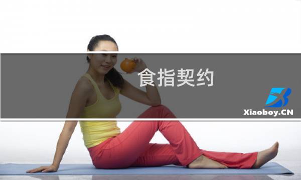 食指契约 攻略