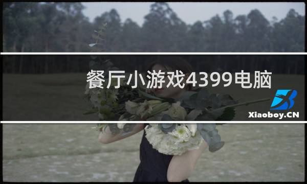 餐厅小游戏4399电脑