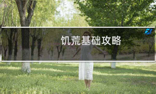 饑荒基礎(chǔ)攻略