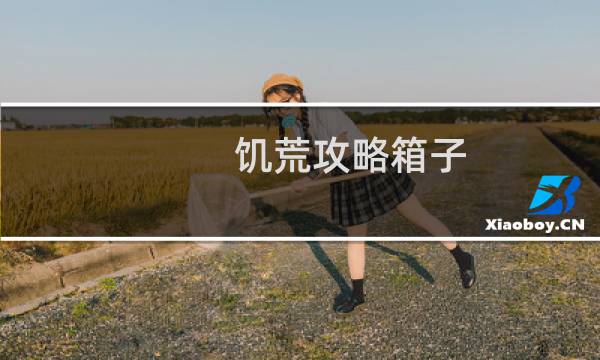 饥荒攻略箱子
