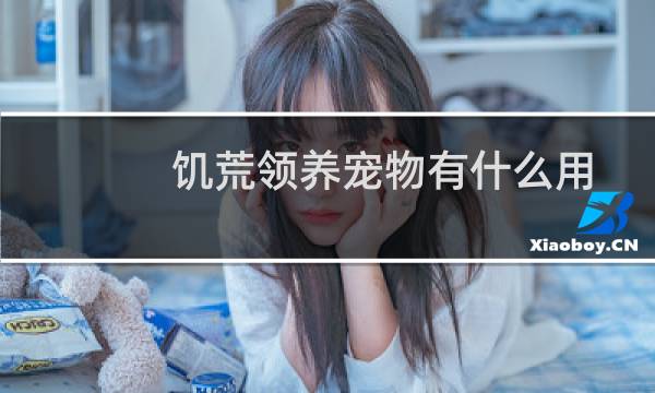 饥荒领养宠物有什么用