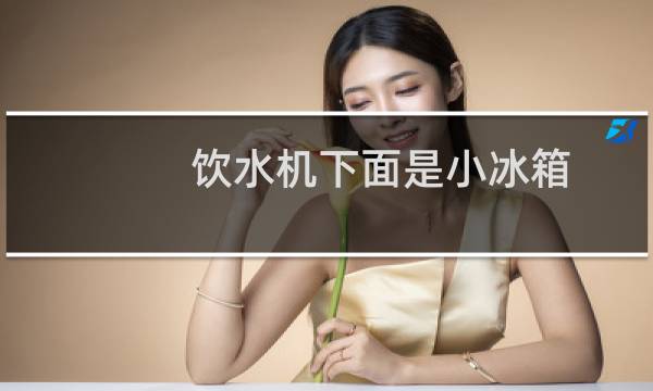 饮水机下面是小冰箱