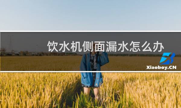 饮水机侧面漏水怎么办