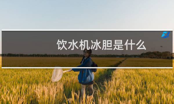 饮水机冰胆是什么