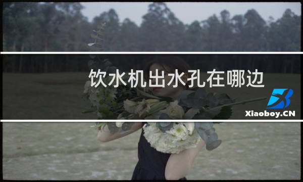 饮水机出水孔在哪边