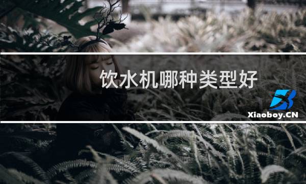 饮水机哪种类型好