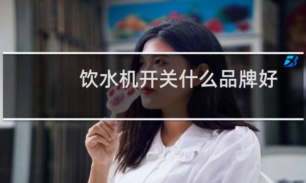 饮水机开关什么品牌好