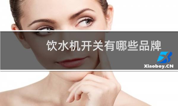 饮水机开关有哪些品牌