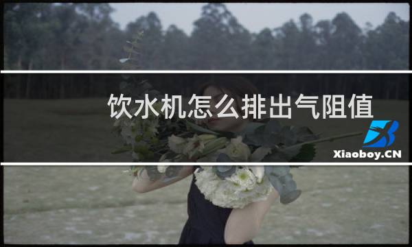 饮水机怎么排出气阻值