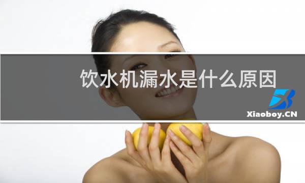 饮水机漏水是什么原因
