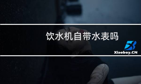 饮水机自带水表吗