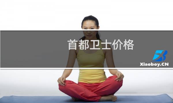 首都卫士价格