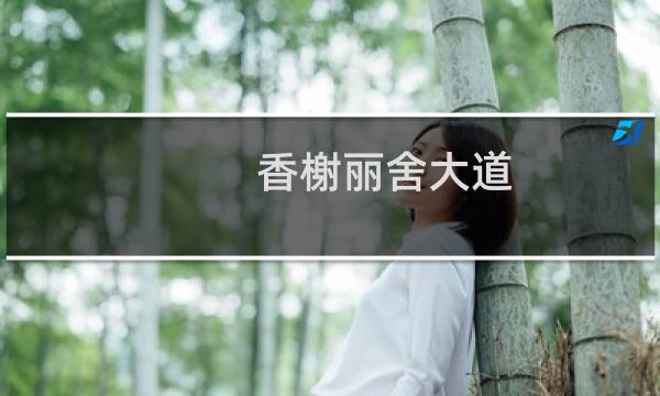 香榭丽舍大道 攻略