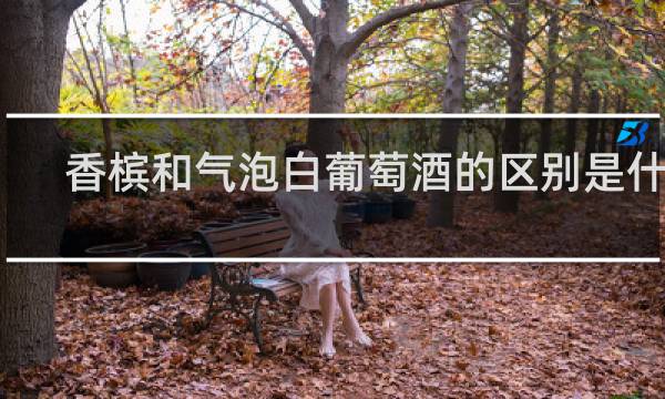 香槟和气泡白葡萄酒的区别是什么