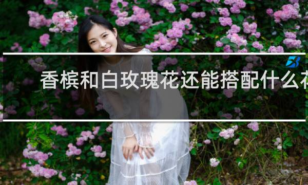 香槟和白玫瑰花还能搭配什么花