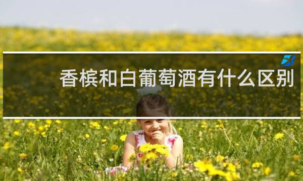 香槟和白葡萄酒有什么区别?