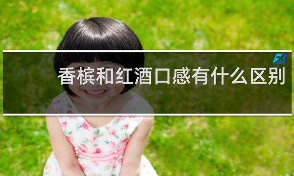 香槟和红酒口感有什么区别