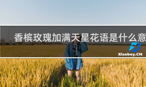 香槟玫瑰加满天星花语是什么意思
