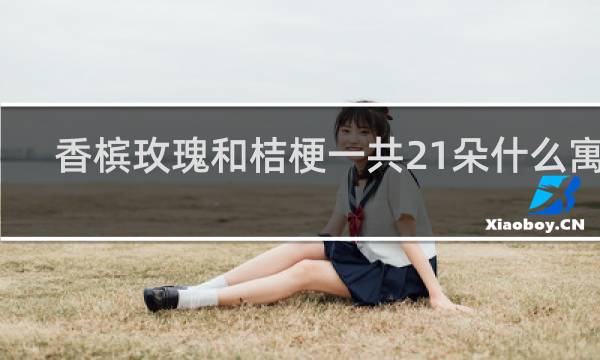 香槟玫瑰和桔梗一共21朵什么寓意