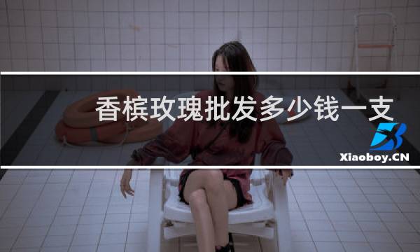 香槟玫瑰批发多少钱一支