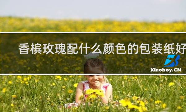 香槟玫瑰配什么颜色的包装纸好看