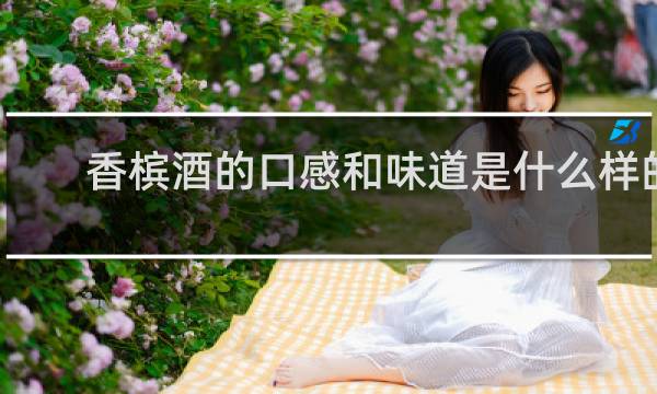 香槟酒的口感和味道是什么样的?