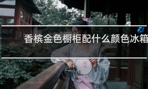 香槟金色橱柜配什么颜色冰箱