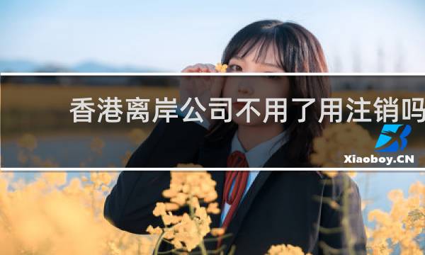 香港离岸公司不用了用注销吗