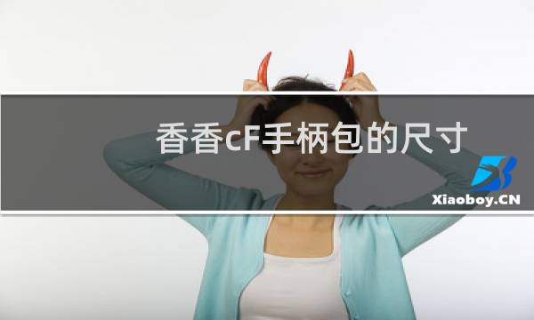 香香cF手柄包的尺寸