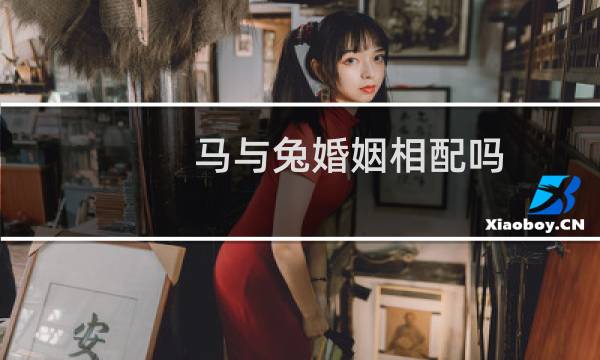 马与兔婚姻相配吗