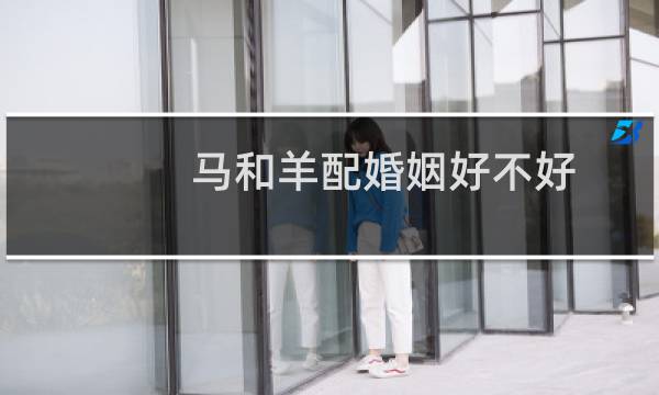 马和羊配婚姻好不好