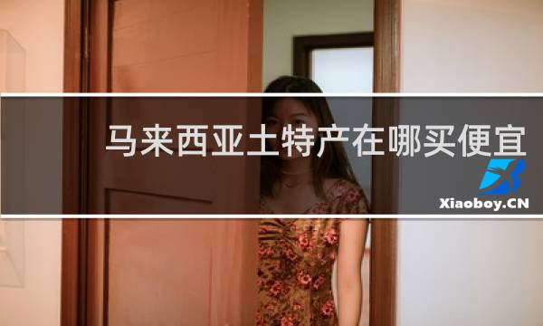 马来西亚土特产在哪买便宜