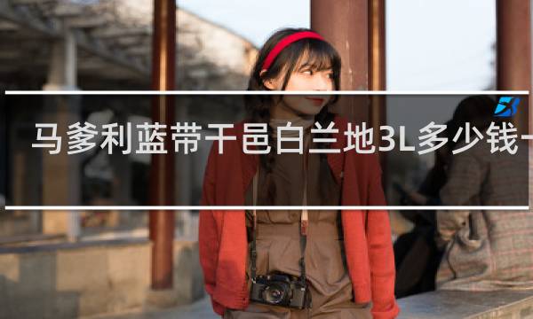 马爹利蓝带干邑白兰地3L多少钱一瓶