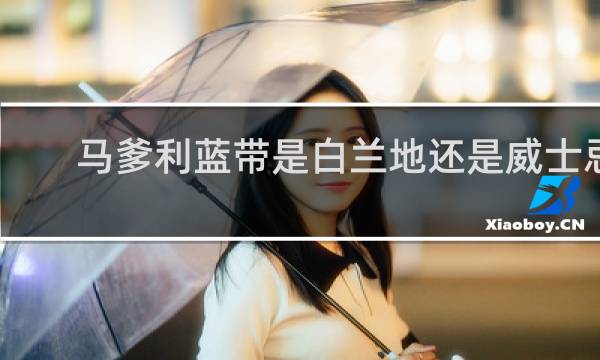 马爹利蓝带是白兰地还是威士忌