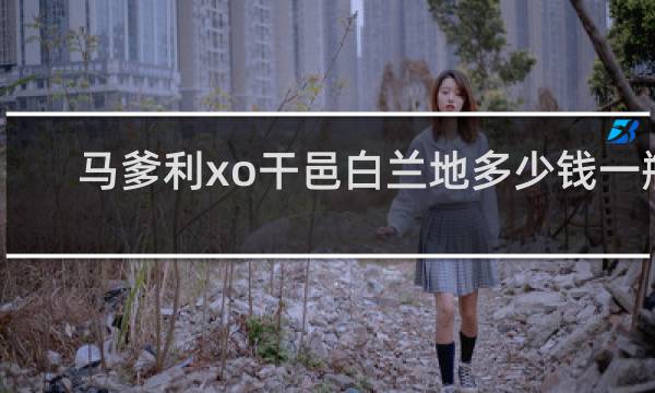 马爹利xo干邑白兰地多少钱一瓶