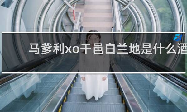 马爹利xo干邑白兰地是什么酒
