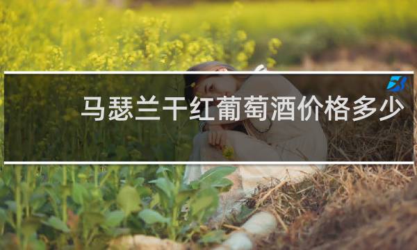 马瑟兰干红葡萄酒价格多少