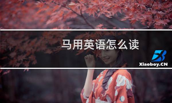 马用英语怎么读