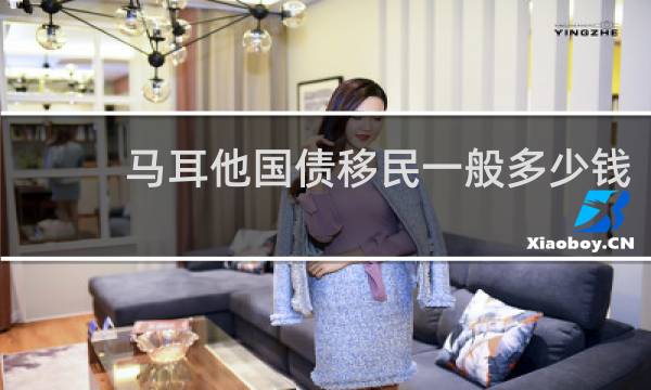 马耳他国债移民一般多少钱
