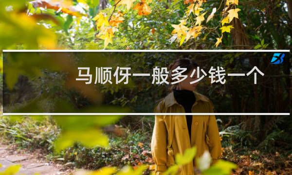 马顺伢一般多少钱一个
