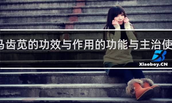 马齿苋的功效与作用的功能与主治使用方法