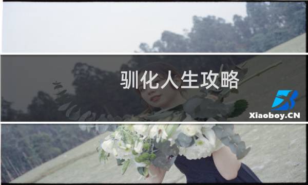 驯化人生攻略
