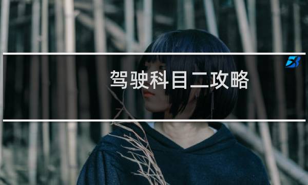 驾驶科目二攻略