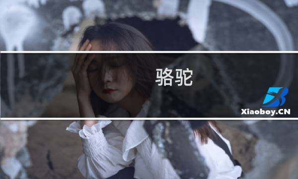 骆驼 塞尔达 攻略