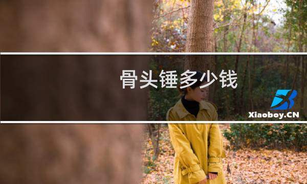 骨头锤多少钱