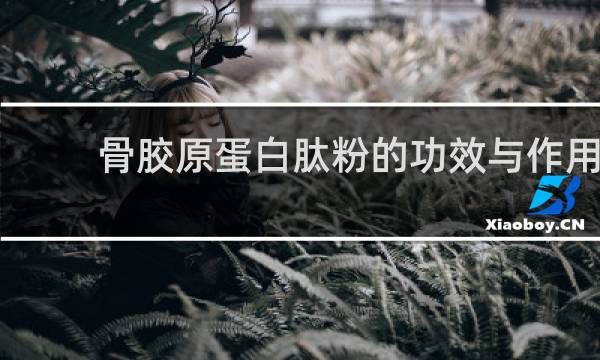 骨胶原蛋白肽粉的功效与作用