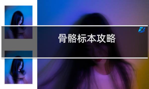 骨骼标本攻略