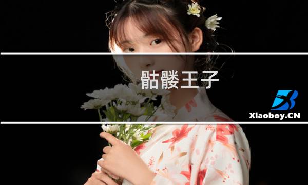骷髅王子 攻略